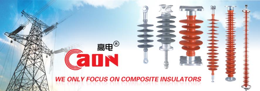 GaoN Product Range GaoN Product Range